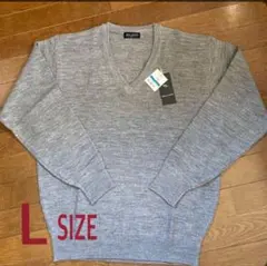 メンズ：プレーンVネックセーター/Lサイズ
