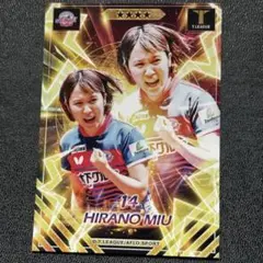 村さん専用　木下アビエルグッズ 全商品 / Tリーグオンラインショップ