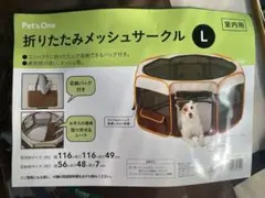 Item thumbnail for item 6003454a-5d88-4caa-9b77-8de0c6cd6b8d