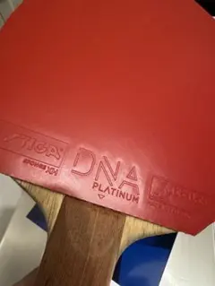 スティガ　DNAプロM 赤・特厚