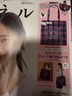 リンネル付録 PEANUTS スヌーピー チェック織りBIGトート