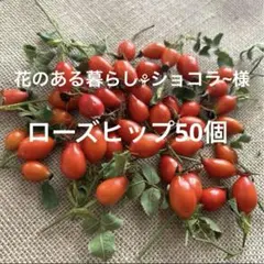 花のある暮らし⚘ショコラ~様 リクエスト 2点 まとめ商品