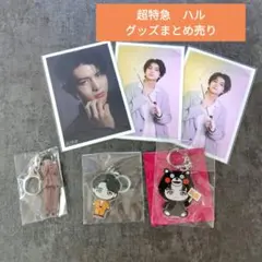 超特急　ハル　グッズ　まとめ売り　キーホルダー　生写真　セット　くまモン 超特急 ハル グッズ まとめ売り キーホルダー 生写真 セット くまモン