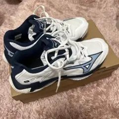 大人気！全日本 宮浦健人選手着用 新製品MIZUNO ネオジャンプ26.0
