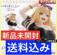 未開封 着せ恋 限定 プライズフィギュア まとめ売り 5点セット 着せ恋/喜多川海夢】フィギュア全まとめ・予約購入情報【2025年