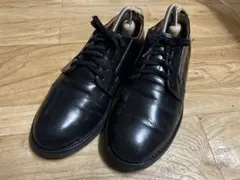 Mack様専用 70s 羽根タグREDWING 101 ポストマン USA製 - メルカリ
