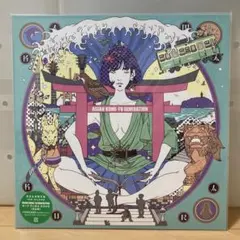 新品未開封レコード アジアンカンフージェネレーション サーフ ブンガク カマクラ