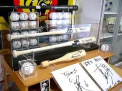 バット展示用アクリルケース！！□2本用 □ - メルカリ