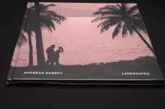 2026年最新】ape rizzoliの人気アイテム - メルカリ