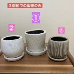 陶器　ミニ植木鉢　 3個セット