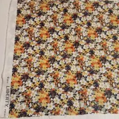 リバティ　ケイティーズ