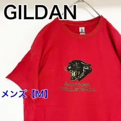 Item thumbnail for item e0e34169-7861-4933-85f9-07f320b95bb4