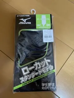 Item thumbnail for item 821548a3-8ae0-4bba-9df6-771842012d3b