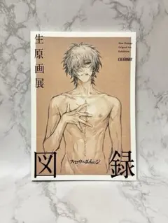 スロウダメージ 生原画展 図録 - メルカリ