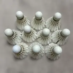 バドミントン中古シャトル10球