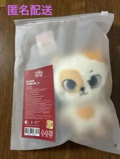 BOYNEXTDOOR BBNEXDO ソンホ プネクド キーリング