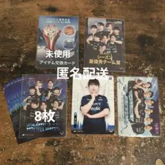 IJLカード RC シーズン最優秀チーム賞 集合SSR UTR