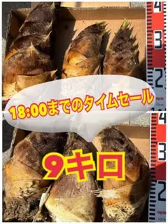 2026年最新】竹の子 10kgの人気アイテム - メルカリ