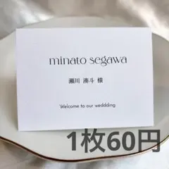 Item thumbnail for item 49a35a7a-e993-41d3-8691-db2ed448d5ec