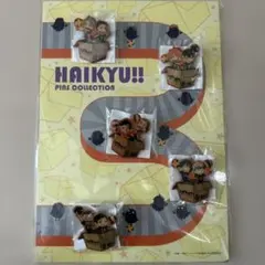 ハイキュー　Amazon 特典　オリジナル　ピンバッジ　5種　スペシャル台紙付き