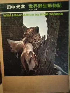 Wild Life in Africa by Kō Tanaka