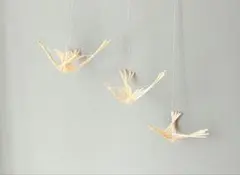 ＊Nolla kumotohikari様＊