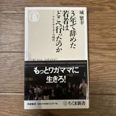 3年で辞めた若者はどこへ行ったのか : アウトサイダーの時代