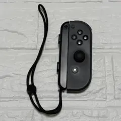 任天堂 Switch Joy-Con グレー 右 ストラップ付 動作確認済