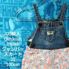 Item thumbnail for item 1a420b7b-fece-4a6d-a62a-da3131b1d50b