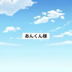 アメステ　あんくん様