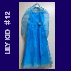 Item thumbnail for item bcdf402a-0061-480a-8cb1-2462fe25cffc