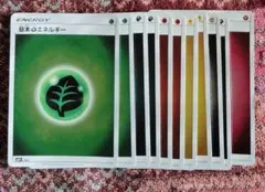 ポケモンカード　　エネルギー　ホロ　セット