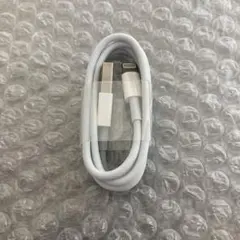 純正品 iPhone 充電器 ライトニングケーブル 電源アダプタ USB