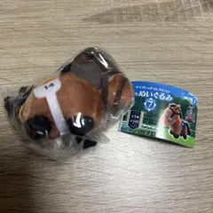 【未開封】サラブレッドコレクションぷちぬいぐるみ7 ドゥラメンテ