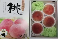 桃(日川)秀品 特大〜大玉6個 化粧箱入り - メルカリ