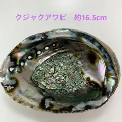 Item thumbnail for item bac7a591-62bf-4255-8751-2cc7632ece79