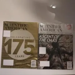 Item thumbnail for item ede1bc7f-3968-4ae1-96fc-a8077397c8aa