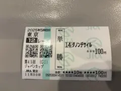 2025月11年　ジャパンカップ ダノンデサイル 現地購入 単勝馬券