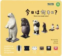 TANITA 今日の体重計 ２種