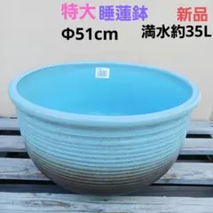 新品 ∅51 特大 陶器 睡蓮鉢 手造り メダカ鉢 難有 ラピスブルー 青LDB