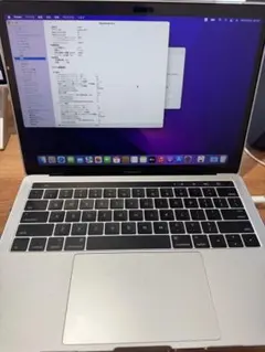R*i様 MacBook Pro (MacBookPro13,2) 8GB SS