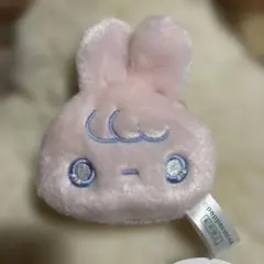 Item thumbnail for item e1451301-b15a-4f2b-b196-816e441cabaa