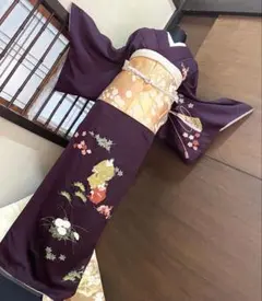 訪問着フルセット5点サイズM〜Ｌ手描き友禅正絹　六通柄袋帯唐織枝梅文金銀糸引箔