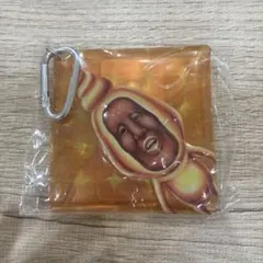 こびとづかん マルチケース タカラコガネ