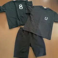 Item thumbnail for item 1146a7ce-7f41-4308-a0e3-93c08e9b2c5d