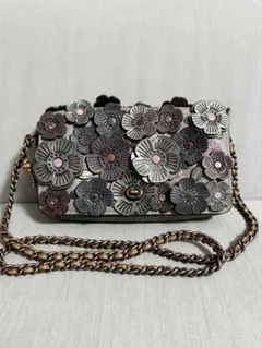COACH ティーローズ ショルダーバッグ コーチ ディンキー 2WAY レザー