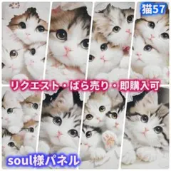 【猫No.57】パネル生地　ねこ
