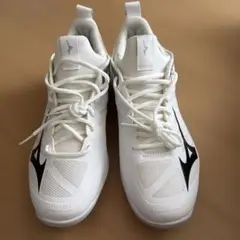 美品　ほぼ新品に　MIZUNO ミズノ室内用　シューズ　26.0