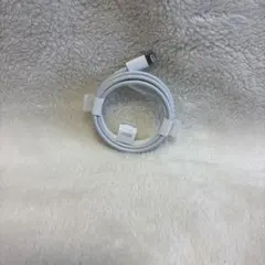 Apple iphone 充電器　Lightningケーブル 純正