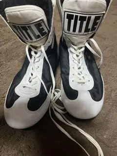 Item thumbnail for item 46840a89-a4e4-4927-b1f0-0d34ebba7cb8